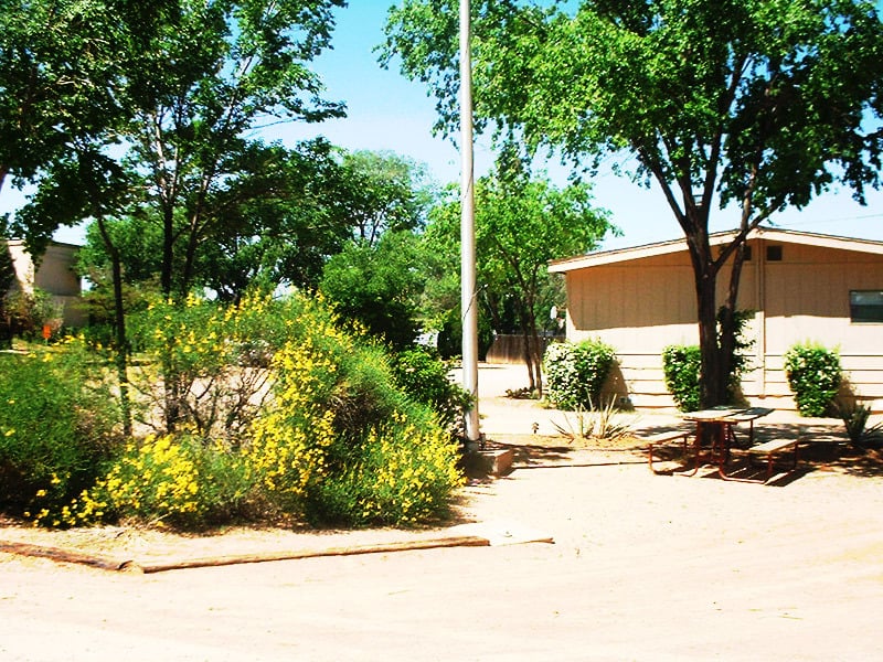 Rose camping. Colliguay Camping Santa Rosa.